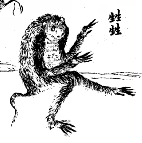 狌狌 的公版古图